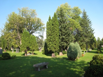 Diversity of Trees in the Cemetery