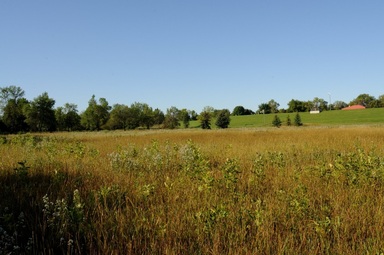 Old Field East of Crestwood Access