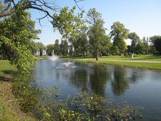 Cemetery Pond