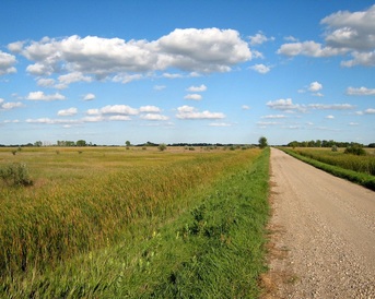 Road through grasslands