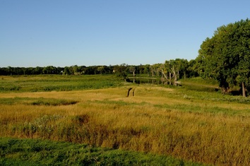 Field in Large Bend of Red River Just South of Point Bridge