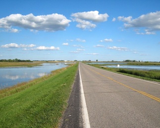 County Road 11 wetlands
